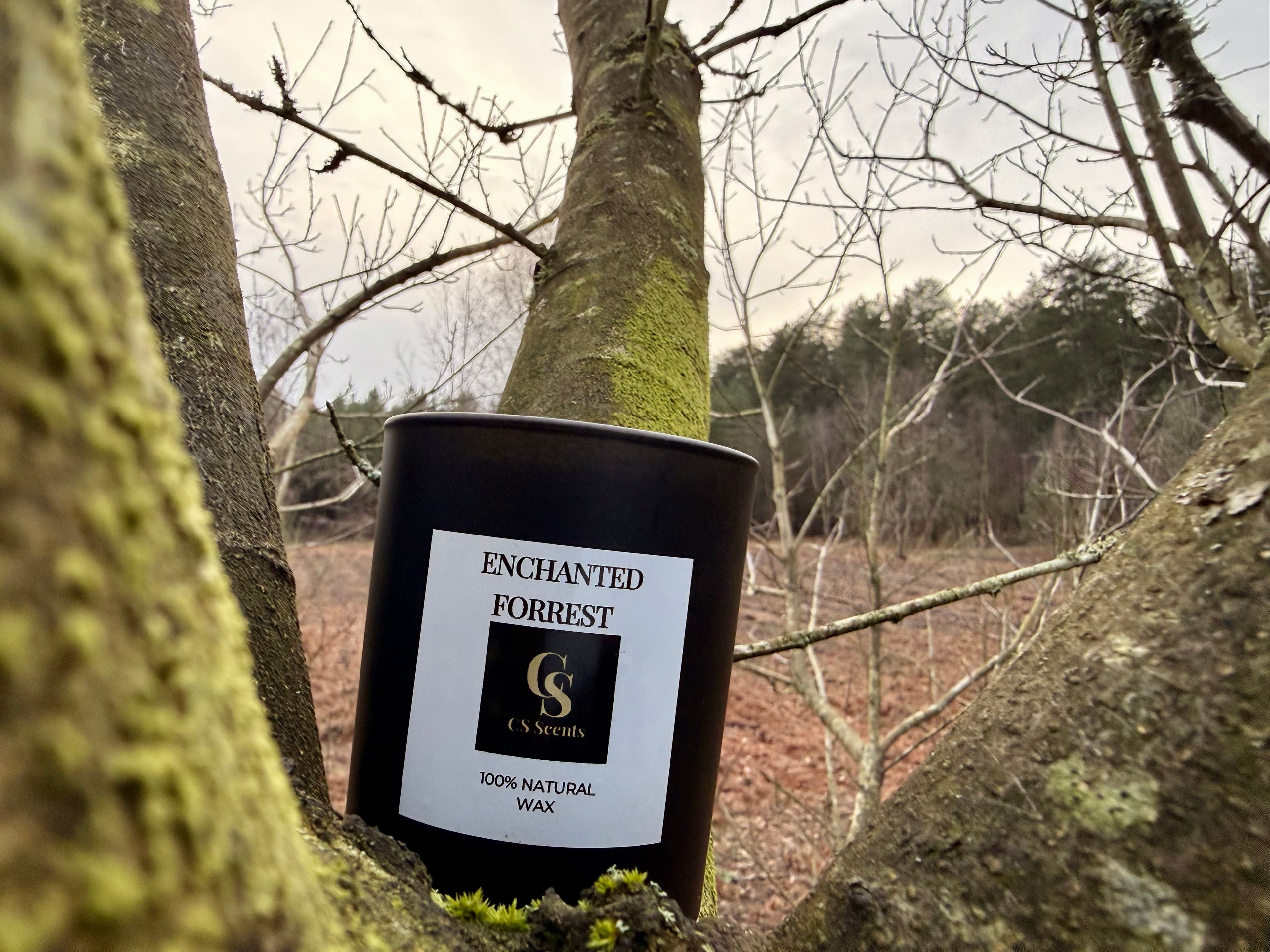 165g Enchanted Forrest Candle